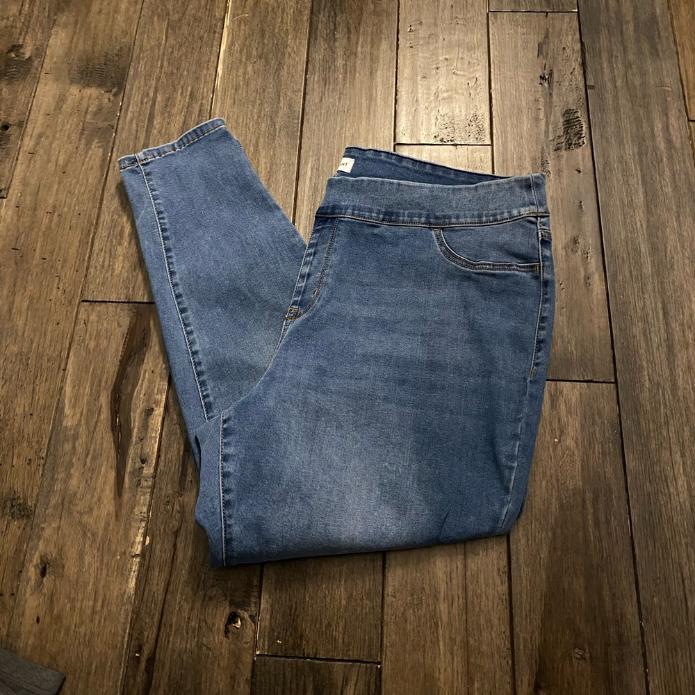 Lane Bryant Light Wash Jeggings